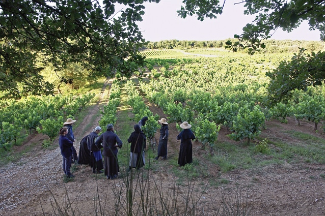 de but des vendanges.jpg