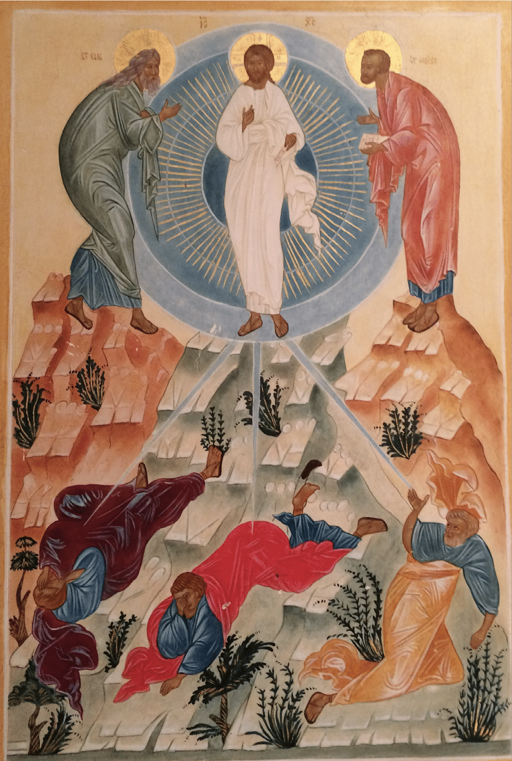 transfiguration.png