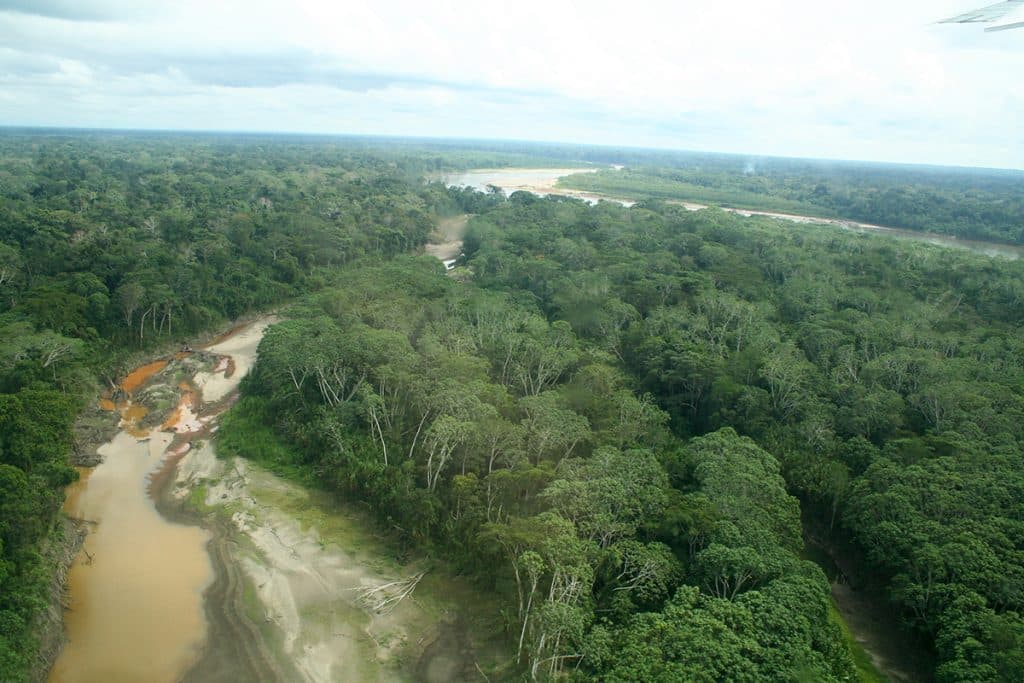 Amazonie vue du ciel