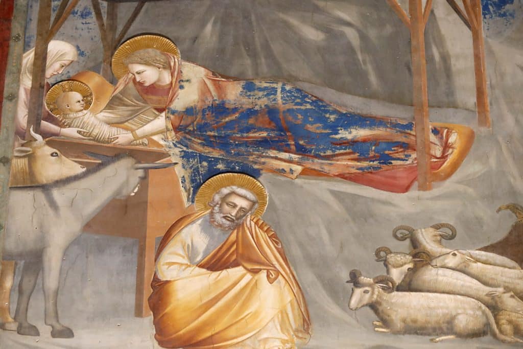 Naissance de Jésus, Giotto, XIVe siècle. Église de l'Arena, Padoue.