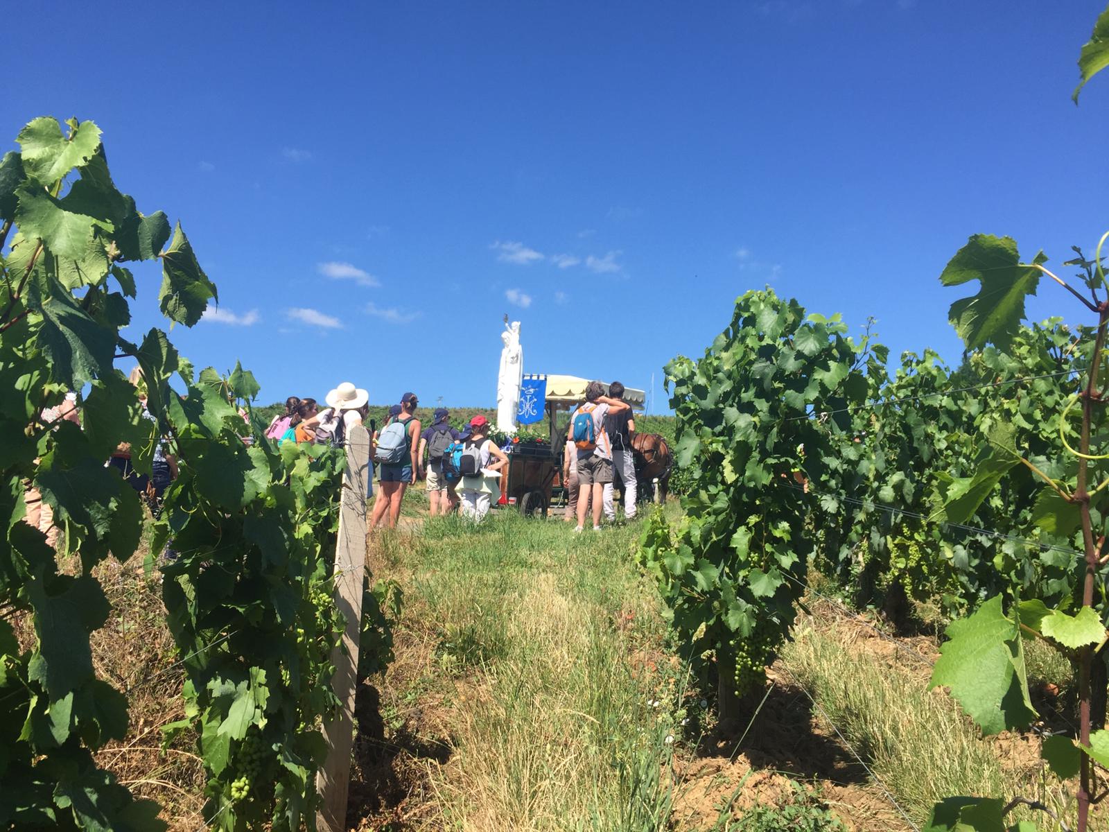 traversée des vignes de bourgogne