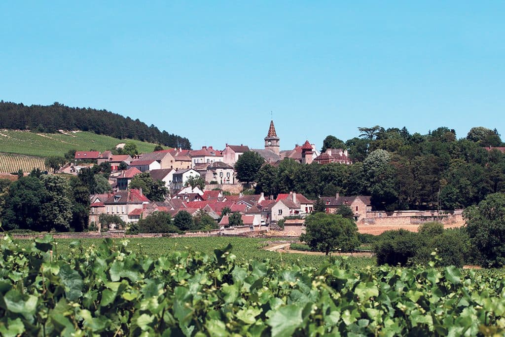 À l’inverse du bordeaux, « protestant », le vin de Bourgogne est selon Jean-Robert Pitte authentiquement catholique