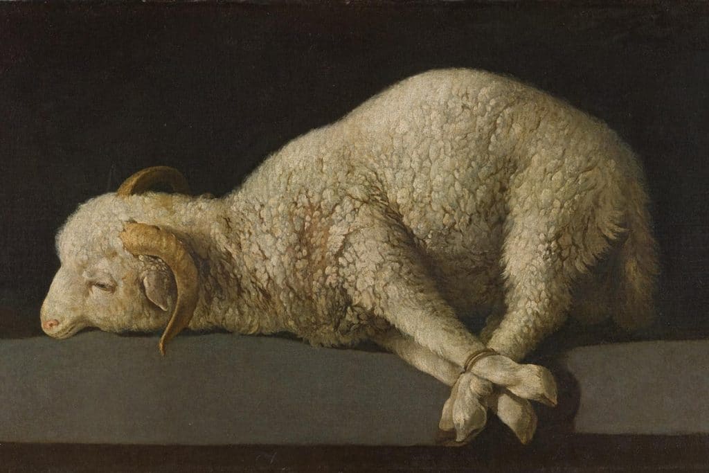 Agnus Dei par Francisco Zurbaran, v. 1638