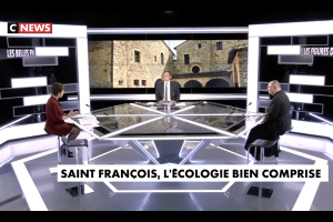 Saint François d’Assise, écolo ou réformateur ?