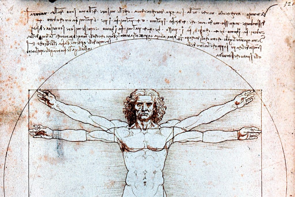 L'homme de Vitruve, Léonard de Vinci.