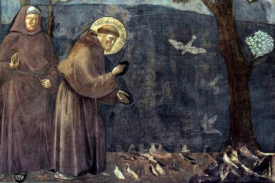 François d'Assise prêchant aux oiseaux (d'après les Fioretti) par Giotto.