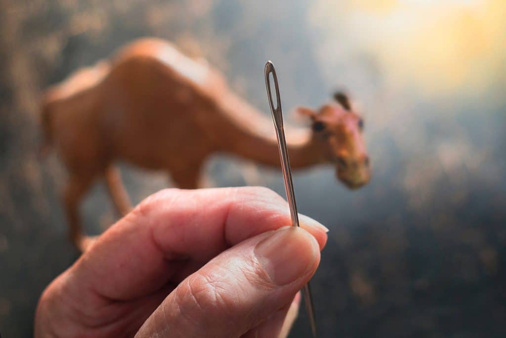 « Il est plus facile à un chameau de passer par le trou d’une aiguille qu’à un riche d’entrer dans le royaume de Dieu » (Mt 19, 24). Le chameau qu’évoque ici le Christ n’est pas l’animal mais l’épais cordage auquel les marins attachent leurs ancres, explique Cyrille d’Alexandrie.