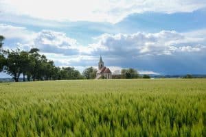 nature-eglise.jpg