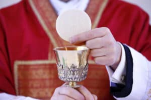Cardinal Sarah : « La messe est un soleil qui ne cesse jamais d’éclairer »